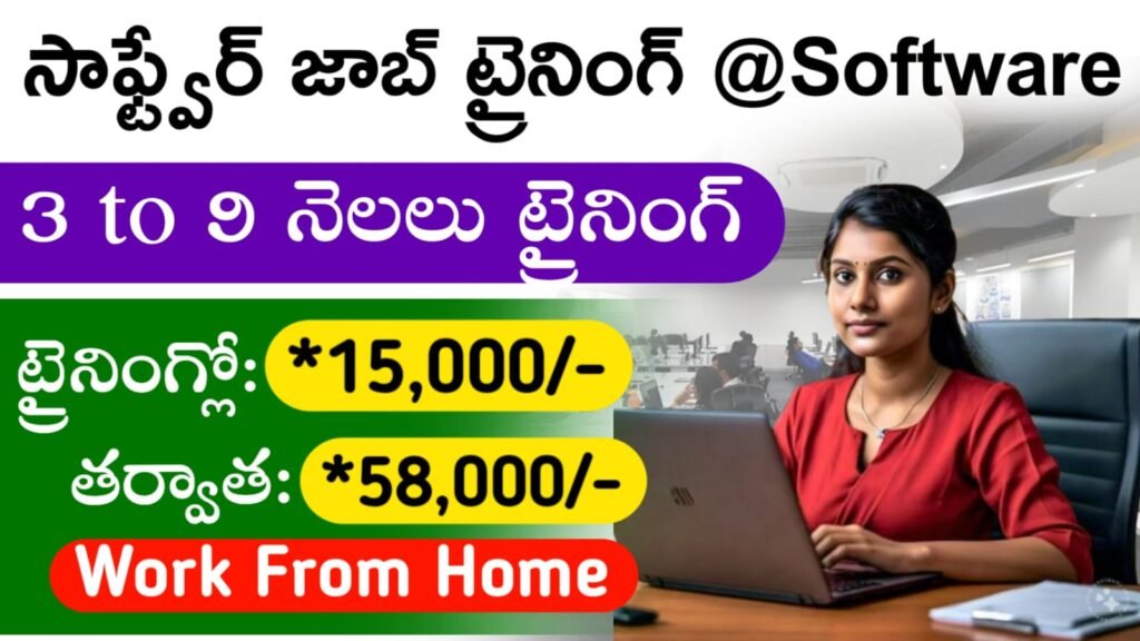 Software Job Training 2024