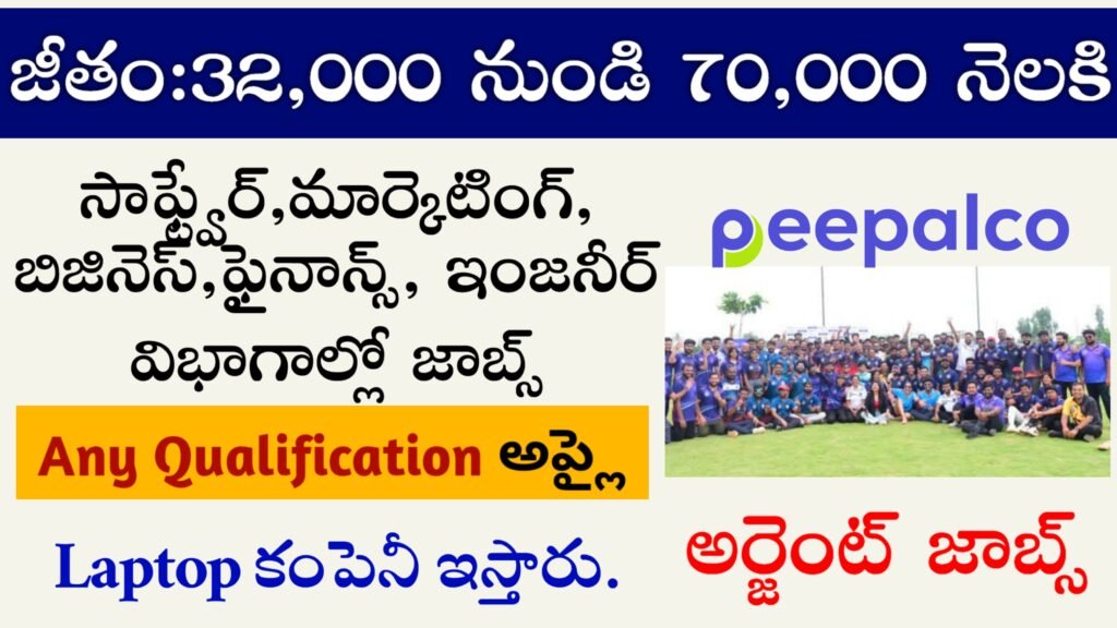 Peepalco company various job recruitment 2024