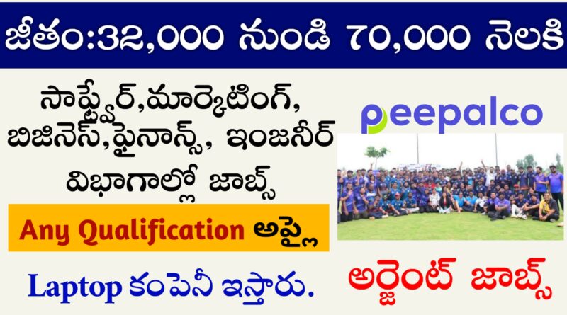 Peepalco company various job recruitment 2024