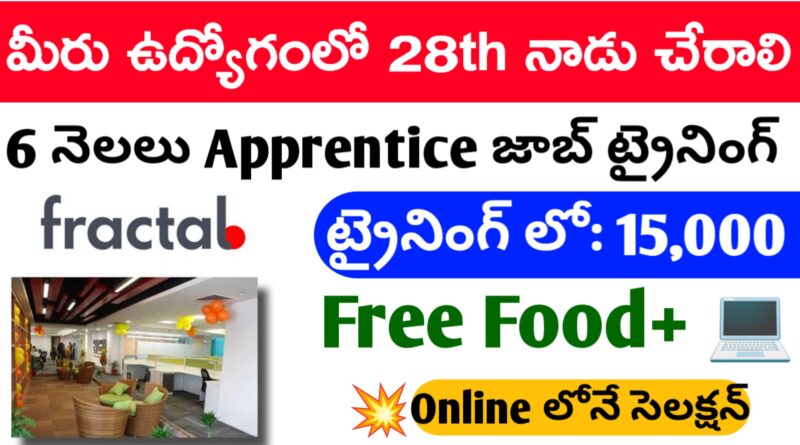 Fractal Company Apprentice Post Job Vacancies
