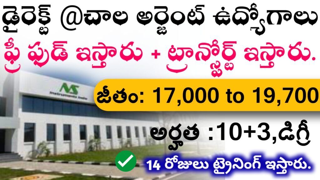 NS Instruments private company jobs telugu 2024