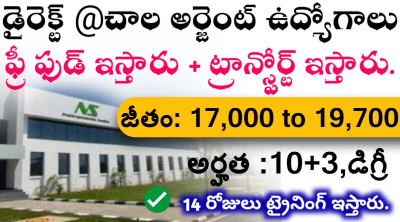 NS Instruments private company jobs telugu 2024