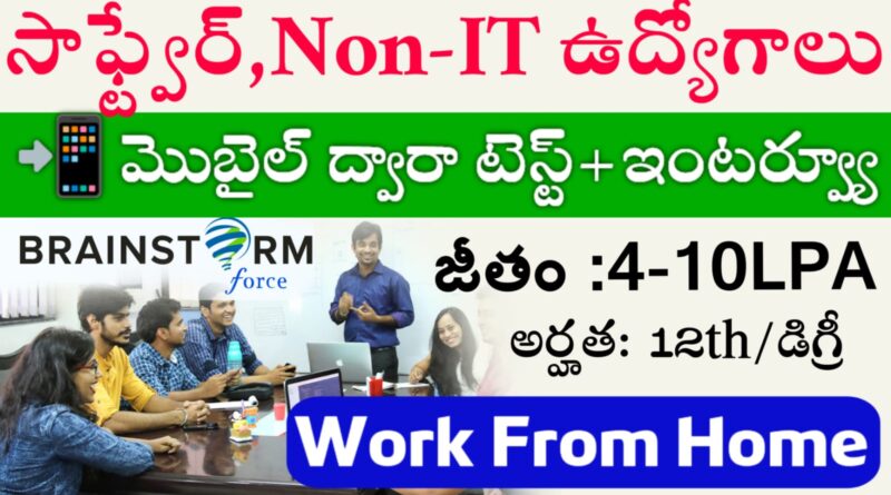 Brainstorm Company Job Vacancies 2025