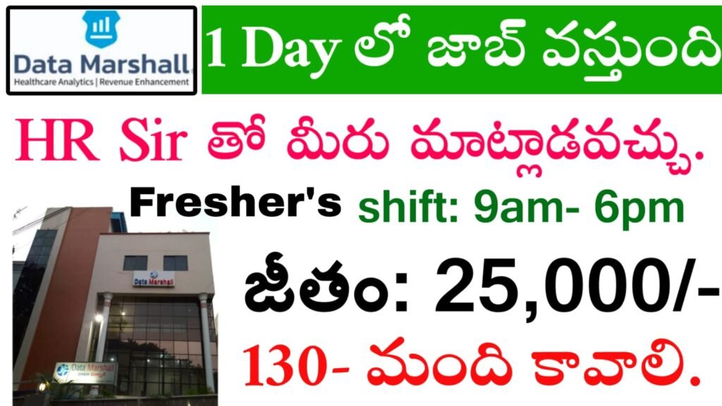 Data Marshal Private Limited Company Jobs 2025