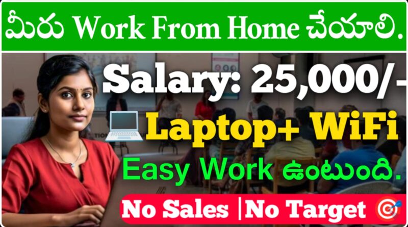 Social Pilot Company Work From Home Jobs