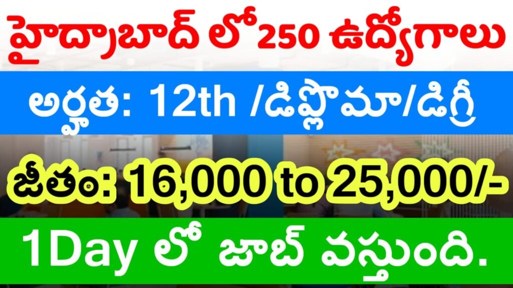 WNS Company Job Vacancies 2025
