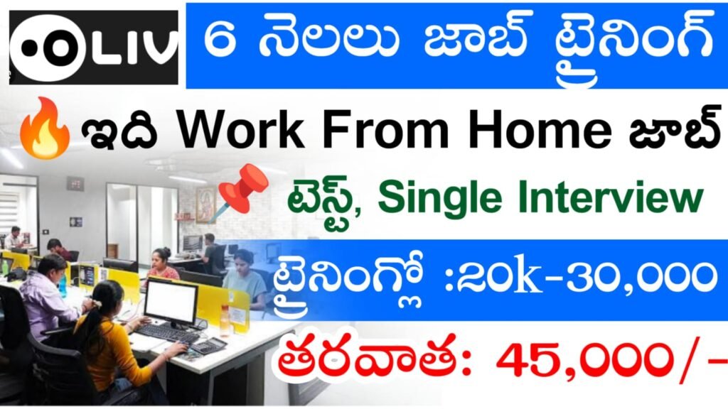 Oliv Company Work From Home Jobs 2025