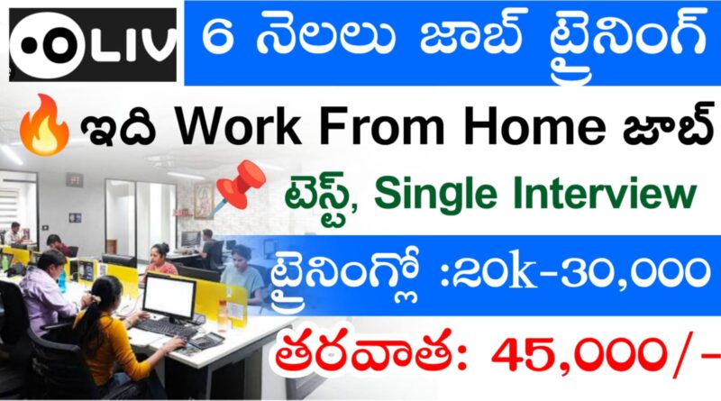 Oliv Company Work From Home Jobs 2025