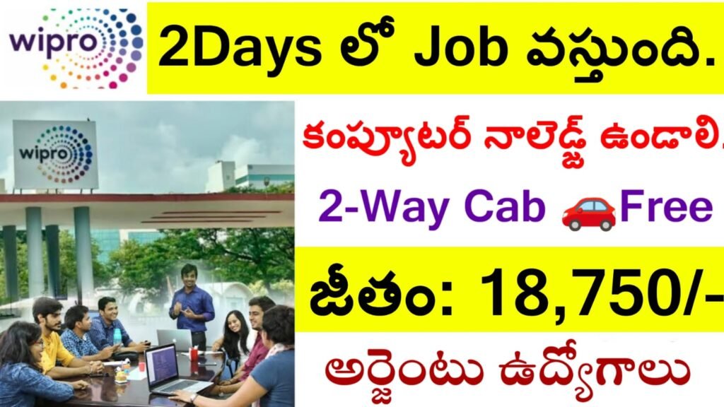 Wirpo Company Job Openings 2025