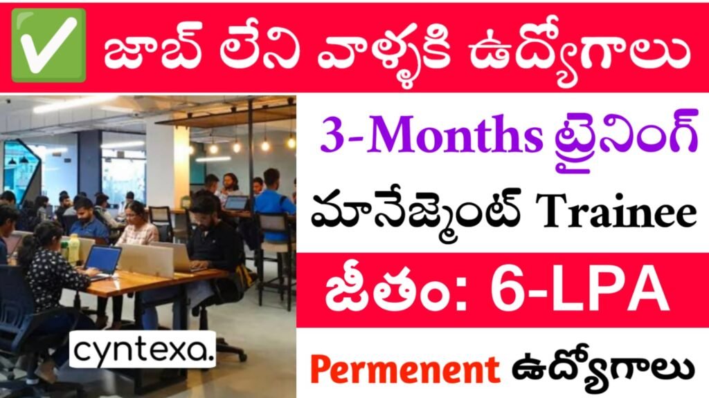 Management Trainee Job Openings 2025