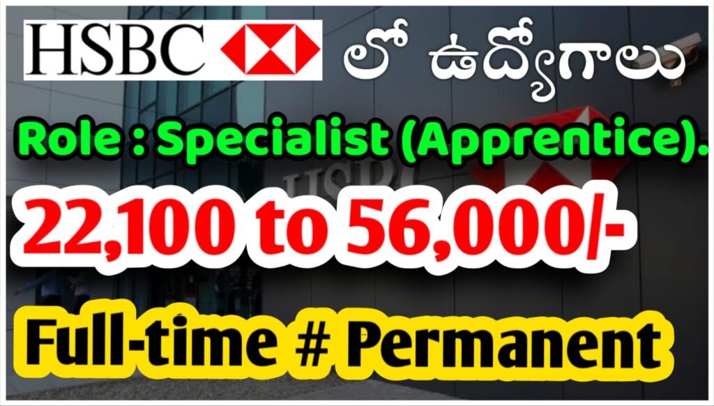 HSBC Company Job Openings 2025