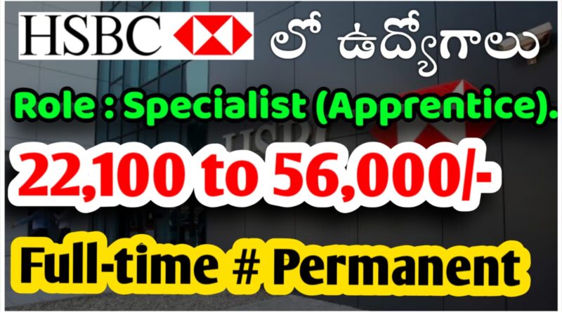 HSBC Company Job Openings 2025