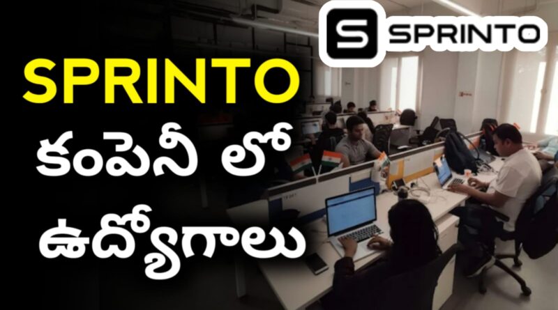 Sprinto Company Job Openings 2025